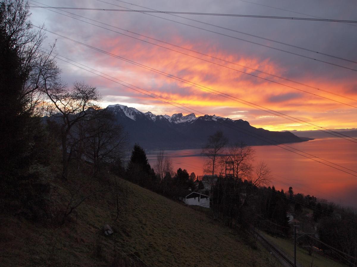 Gais Alpins Villa Montreux Eksteriør bilde