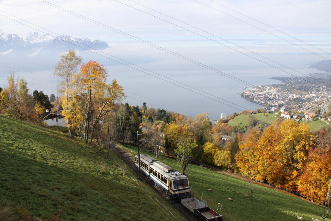 Gais Alpins Villa Montreux Eksteriør bilde